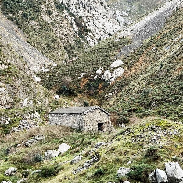 Cover art for Valley